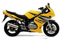 Suzuki GS 500F 2004