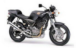 Suzuki Goose 250 1992