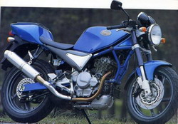 Suzuki Goose 350 1992