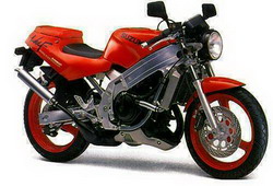 Suzuki RG 250TV Wolf 1988