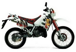 Suzuki TS 125RM 1991